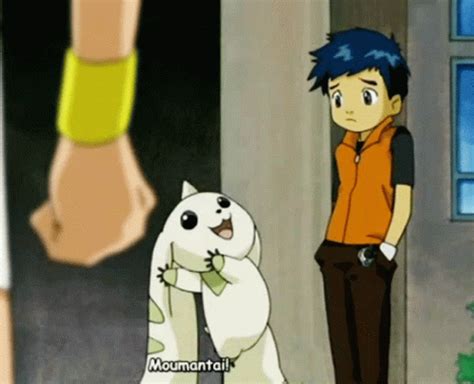 terriermon gif|digimon terriermon evolution.